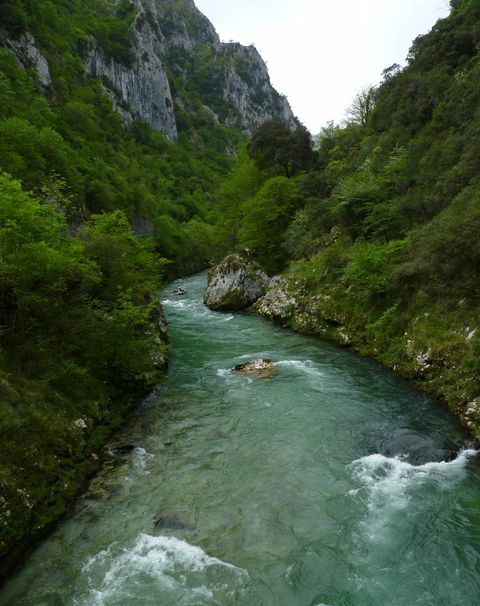 gallery-img